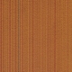 CS-282 D